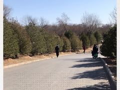 -永定河休闲森林公园