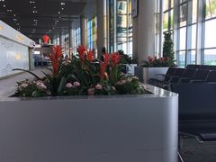 -中免(澳门机场免税店)