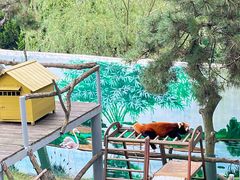 -西霞口神雕山野生动物世界