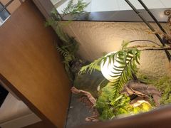 -川成元·麻辣香锅(凯德MALL西直门店)