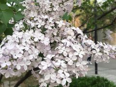 -山东师范大学(千佛山校区)