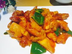 -素虎小呆鸟(西二旗店)