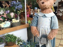 -济州岛泰迪熊博物馆