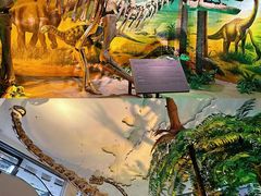 -甘肃地质博物馆