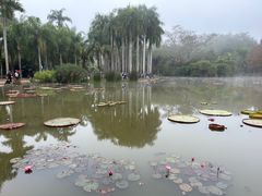 -中国科学院西双版纳热带植物园