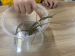 -上海昆虫博物馆