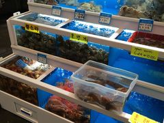 -西归浦每天偶来市场