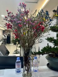 -HaLo hair studio