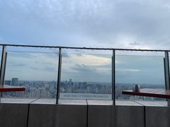 -环球港凯悦 · 享悦中餐厅