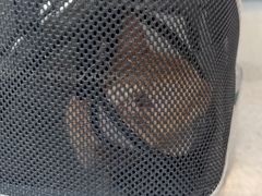 -半岛宠物医院24小时(科华中路店)