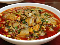 -胖大姐黄辣丁鱼庄(新津店)