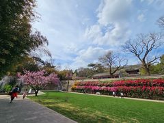 -红螺寺