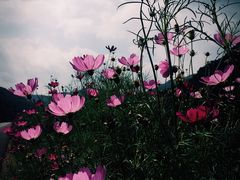 -洋湖沟