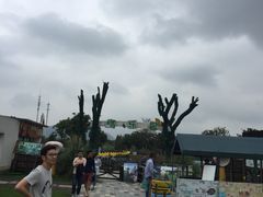 -田园东方蜜桃村的田野营地