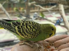 -上海大自然野生昆虫馆