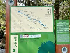 -莫里热带雨林景区