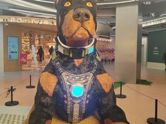 -光启城时尚购物中心