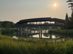 -眉山湿地公园(东坡区)