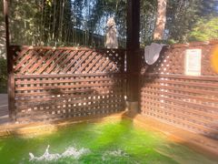 -春晖园度假酒店温泉