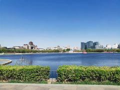 -莲花池公园
