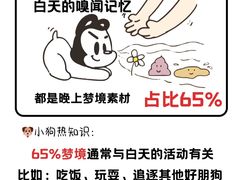 -美联众合动物医院·24h转诊中心