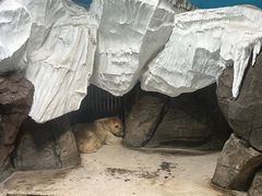 -海合安武汉极地海洋公园