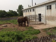 iphone_upload_pic-西安秦岭野生动物园