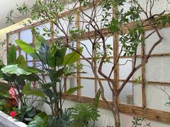 -驻海渔市(置信店)