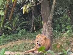 -广州长隆野生动物世界
