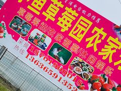-小鱼草莓采摘园农家乐·小鱼餐厅
