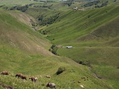 -新疆那拉提国家旅游度假区