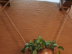 -云海肴·汽锅鸡·云南代表菜(美罗城店)