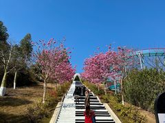 -盈香心动乐园
