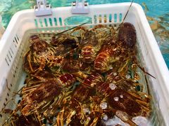 -盒马鲜生(宝地店)