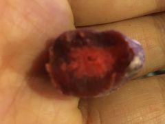 -么凤(波斯富街店)