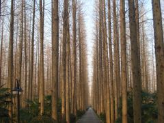 怡沁东路-上海怡沁园度假酒店