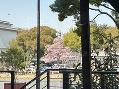 -苏州观前平江CitiGO欢阁酒店