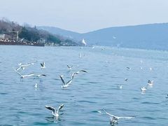 -云龙湖旅游景区