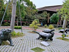 -广东惠东海龟国家级自然保护区