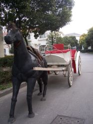 100_3798-金庭庄园酒店彩虹厅