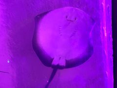 -波塞冬旅游度假区