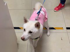 -宠福鑫康馨动物医院·骨科·眼科