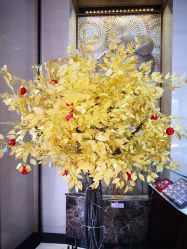 -菜百首饰(朝阳店)