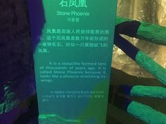 -苗人谷
