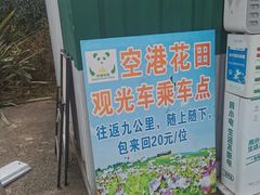 -空港花田景区