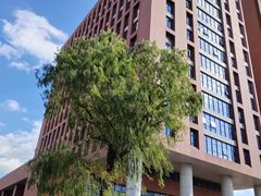-上海财经大学(国定路校区)