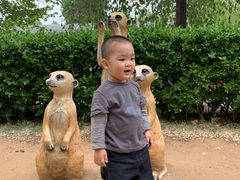 -秦皇岛野生动物园