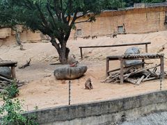 -泉州海丝野生动物世界