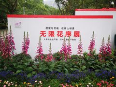-南山植物园