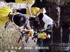 -伊顿幼儿园(济南大地锐城校区)